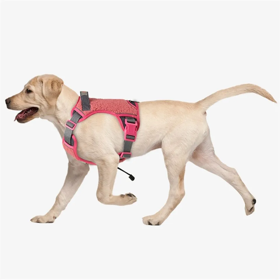 Dog Harness For Winter suppliers