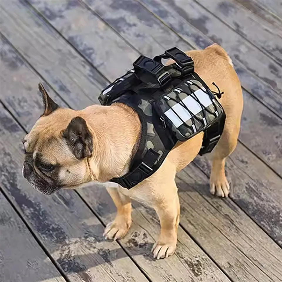 سیڈل بیگ کے ساتھ کتے کا استعمال