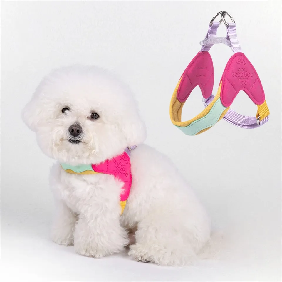 چھوٹے کتوں کے لئے کتے کا استعمال کرتا ہے